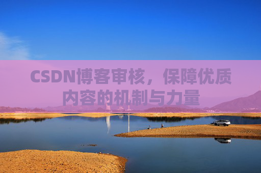 CSDN博客审核,保障优质内容的机制与力量